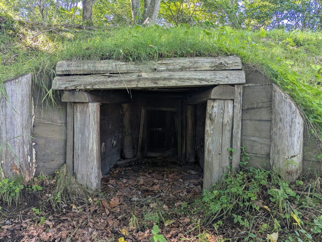 草に覆われた半地下式の木造貯蔵庫跡。入口は低く、木材が時を経て朽ちかけている。