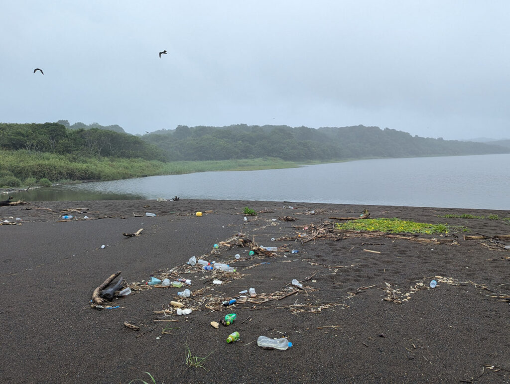 湖の河口付近の砂浜に、ペットボトルや漂着物が散乱している。背景には湿地と森が広がり、曇天の下で静まり返っている。