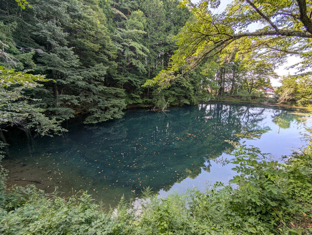 平出の泉(ひらいでのいずみ)。澄んだ青緑色の水をたたえる「平出の泉」。古代から人々の生活を支えてきた湧水で、今も静かに森の中に湧き続けている。