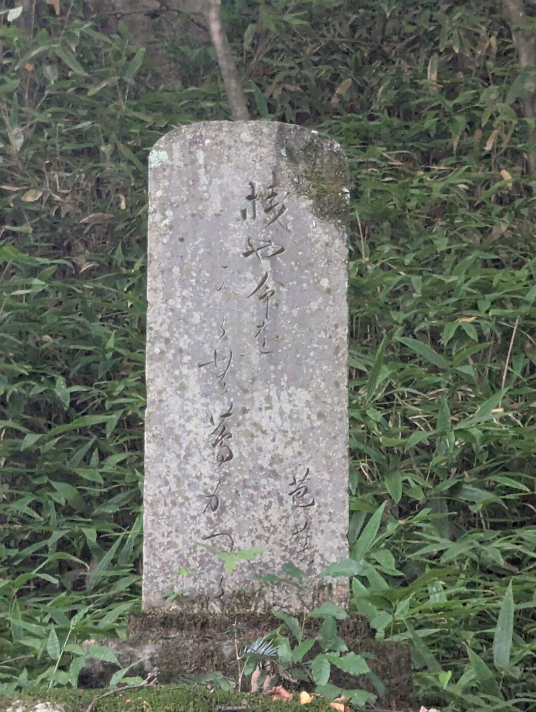 木曽の桟の芭蕉句碑。「芭蕉翁句碑」と楷書体で刻まれた古い石碑。苔むして風化が進み、背景は緑豊かな木立。